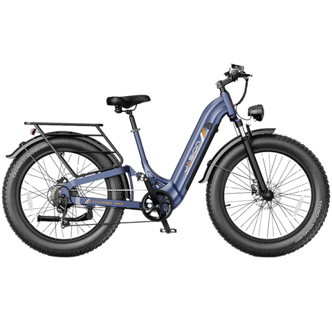 D5 SO 2.0 (by Himiway) – Alter Ego Bikes
