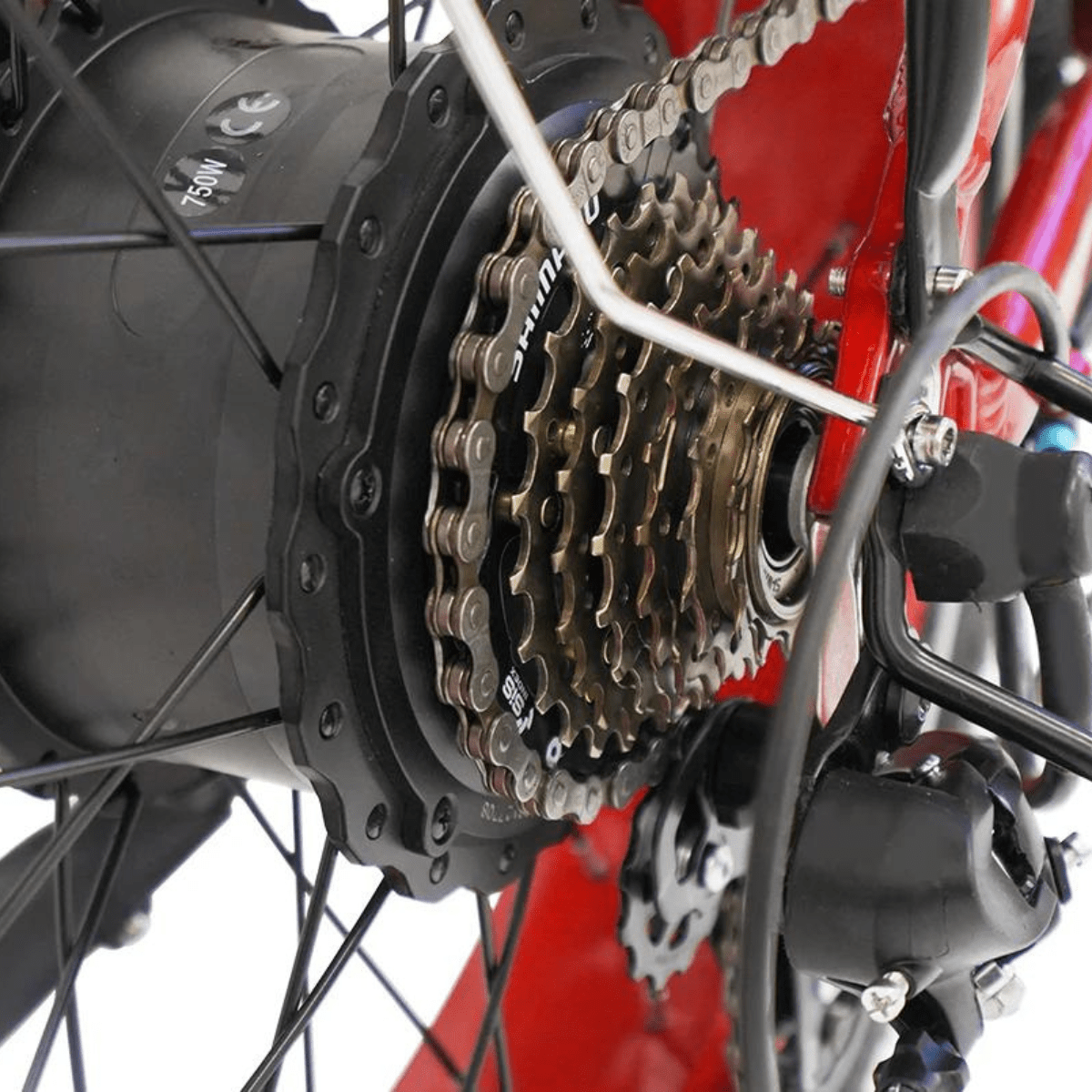 Antelope SX20 2.0 (by Vtuvia) - Alter Ego Bikes