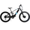 Defender S AWD (by Eunorau) + FREE Secondary Battery - Alter Ego Bikes