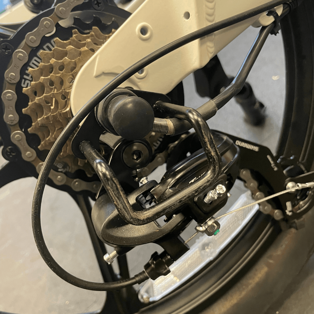 Derailleur Guard - Alter Ego Bikes