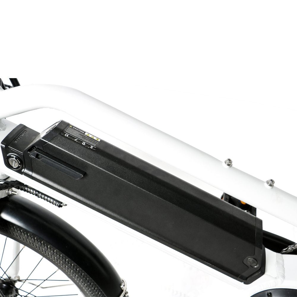 MAX Cargo 3.0 (by Eunorau) - Alter Ego Bikes