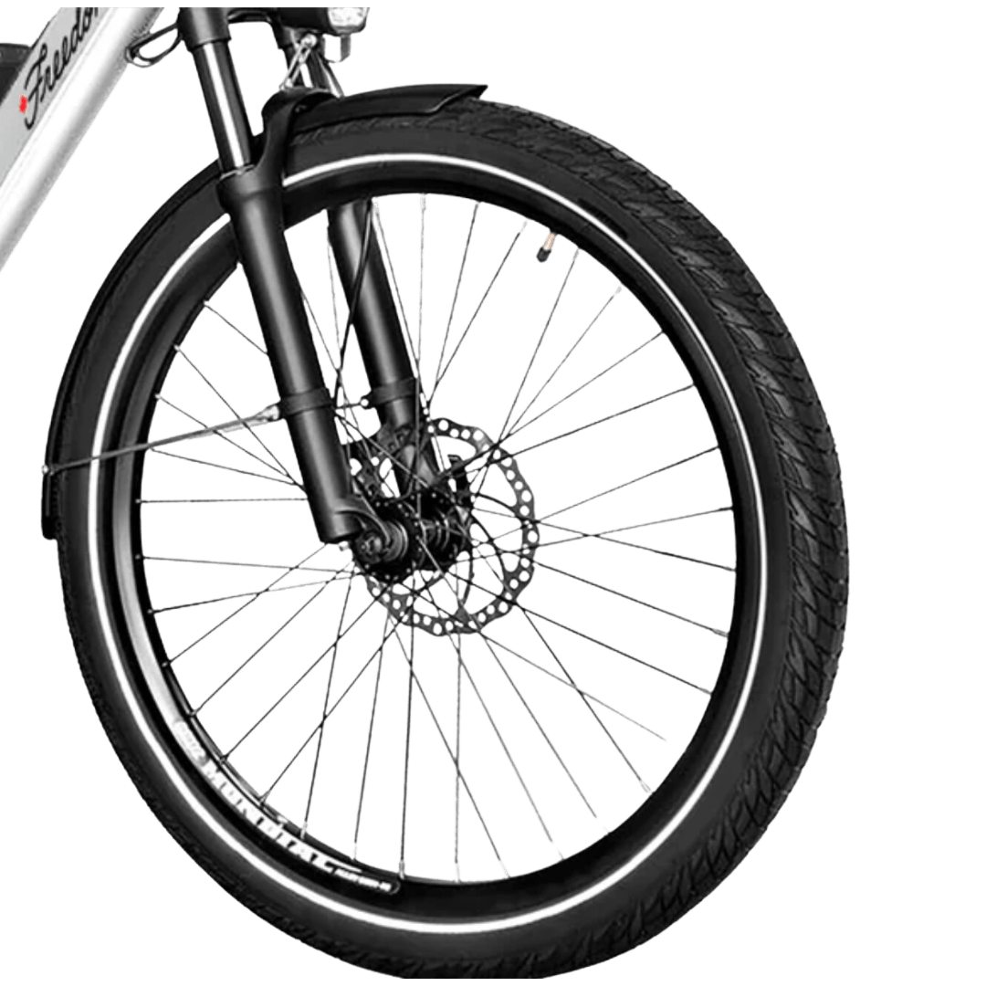 Panaracer 27.5" x 2.4" - Alter Ego Bikes