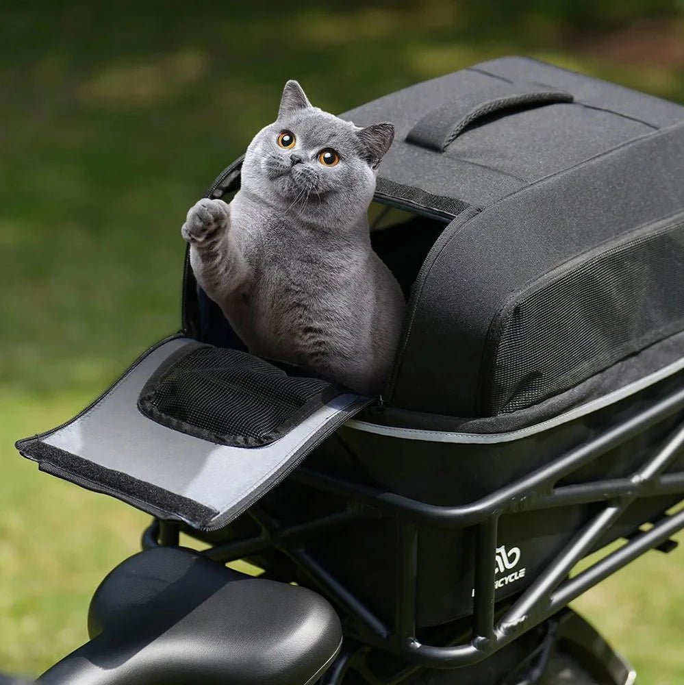 Pet Carrier - Alter Ego Bikes