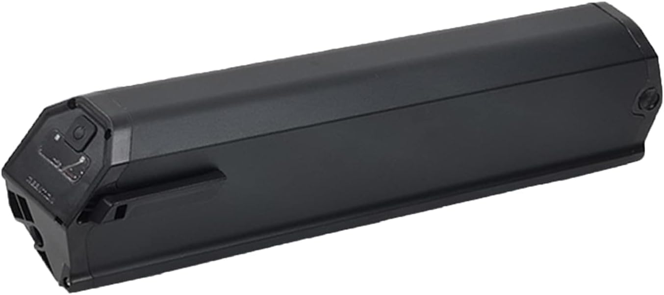 Reention Dorado Lithium Battery - Alter Ego Bikes