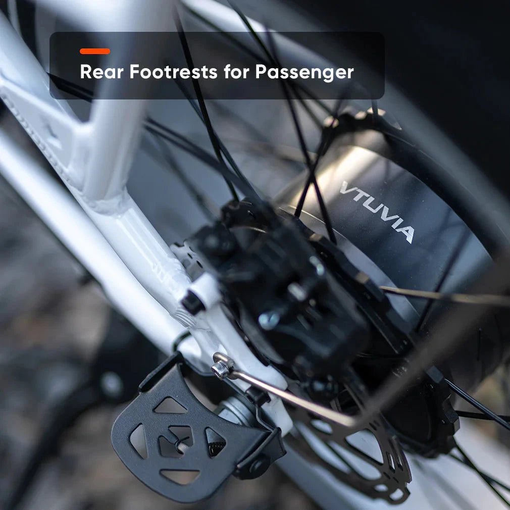 SF20H 2.0 (by Vtuvia) - Alter Ego Bikes