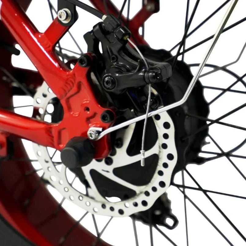 SF20H 2.0 (by Vtuvia) - Alter Ego Bikes