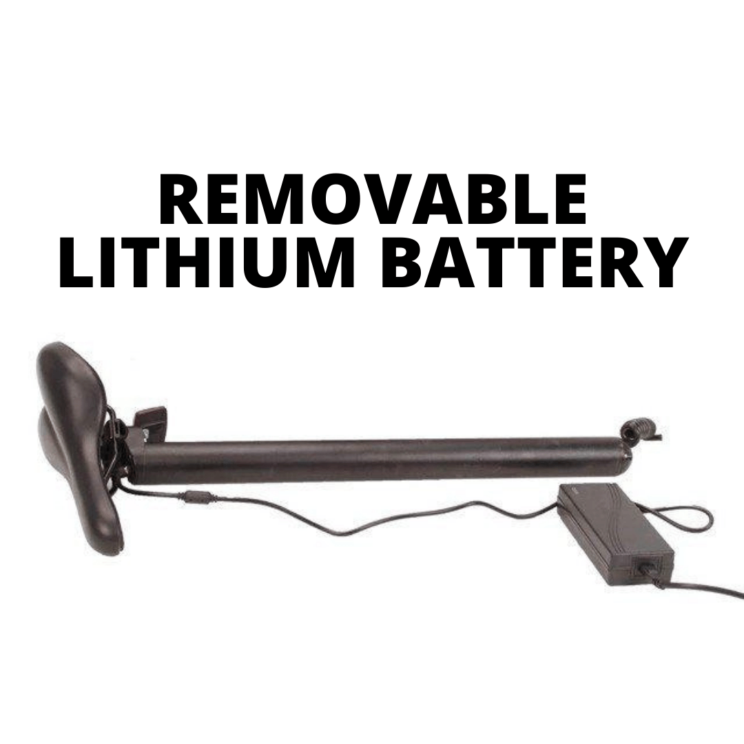 Sidekick Fat PRO 3 - Alter Ego Bikes