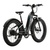 Aventon Aventure 2 - Alter Ego Bikes
