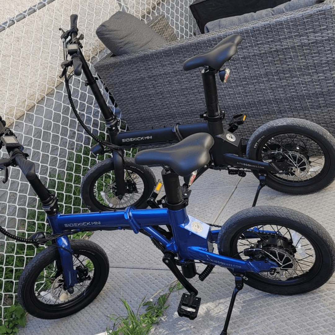 Sidekick MINI PRO AWD - Alter Ego Bikes